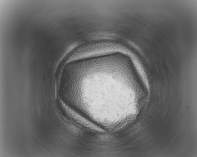 X0000067001219200604142250