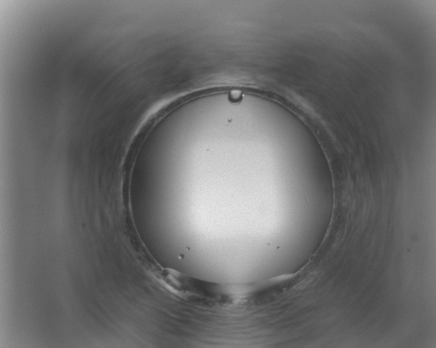 X0000067001222200604142250