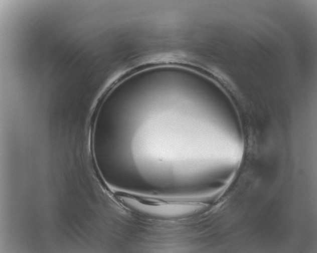 X0000067001224200604142250