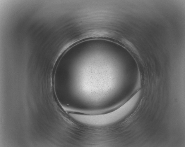 X0000067001226200604142250