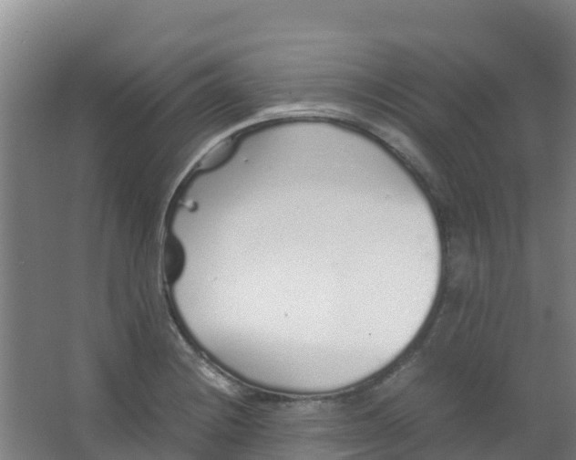 X0000067001228200604142250