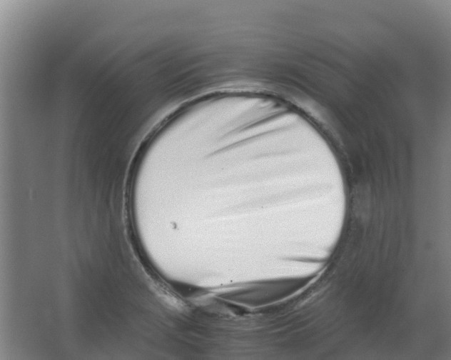 X0000067001229200604142250