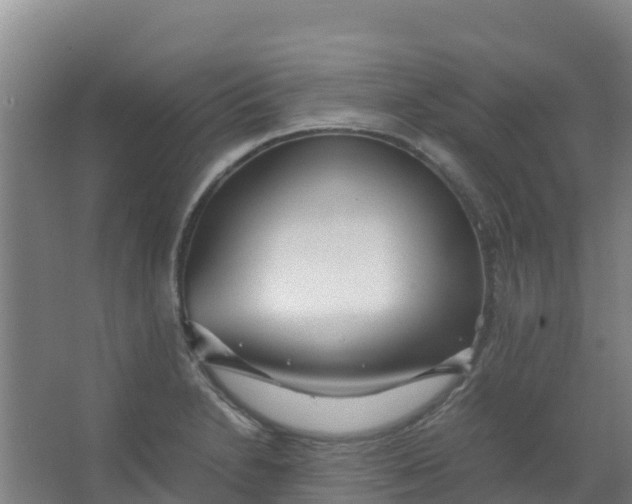 X0000067001230200604142250