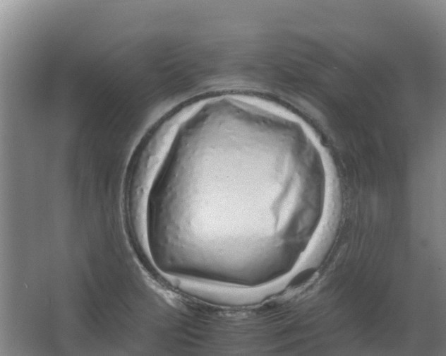 X0000067001231200604142250