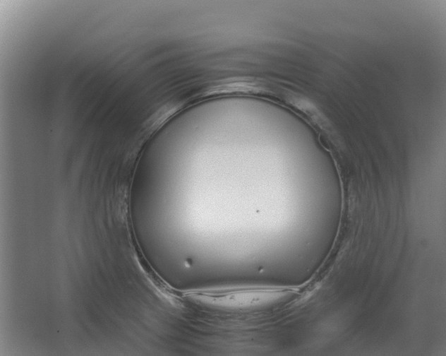 X0000067001233200604142250