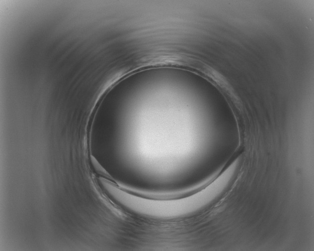 X0000067001234200604142250