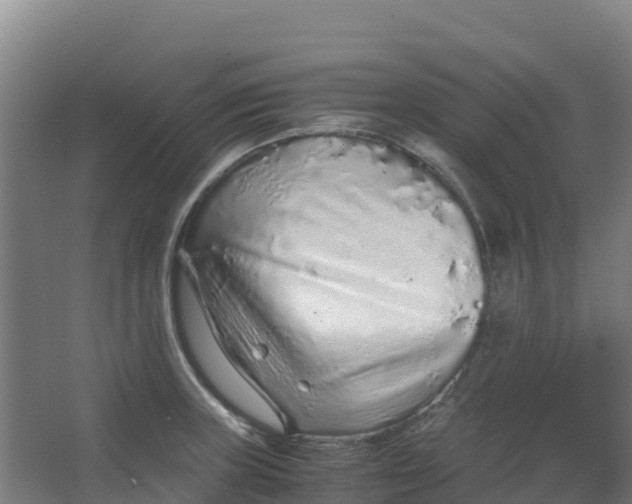 X0000067001235200604142250