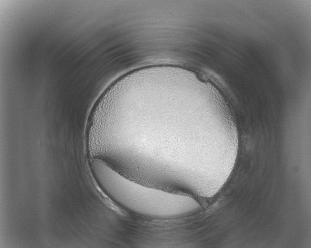 X0000067001236200604142250