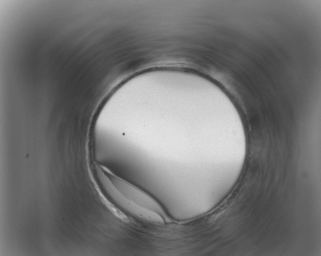 X0000067001237200604142250