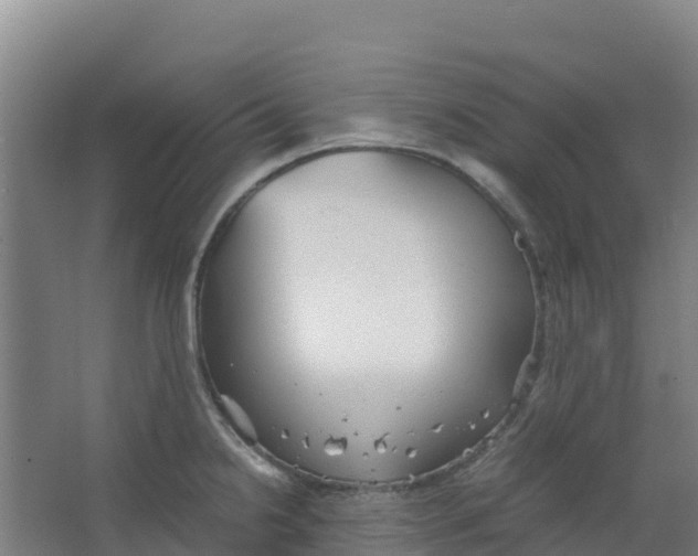 X0000067001238200604142250