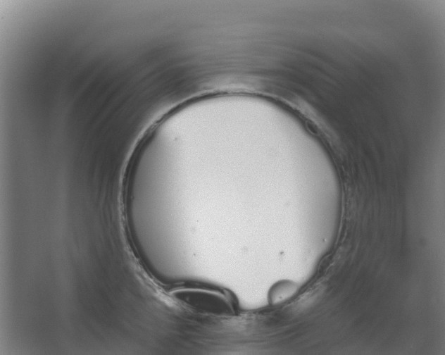 X0000067001240200604142251