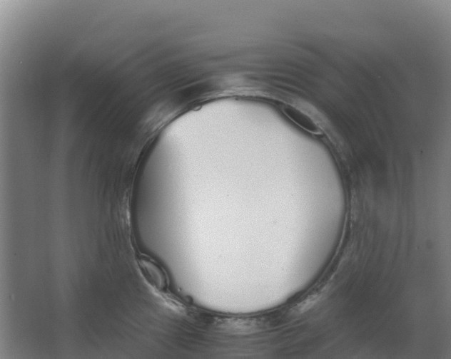 X0000067001241200604142251