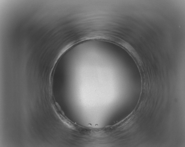 X0000067001242200604142251