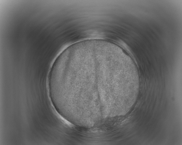 X0000067001243200604142251