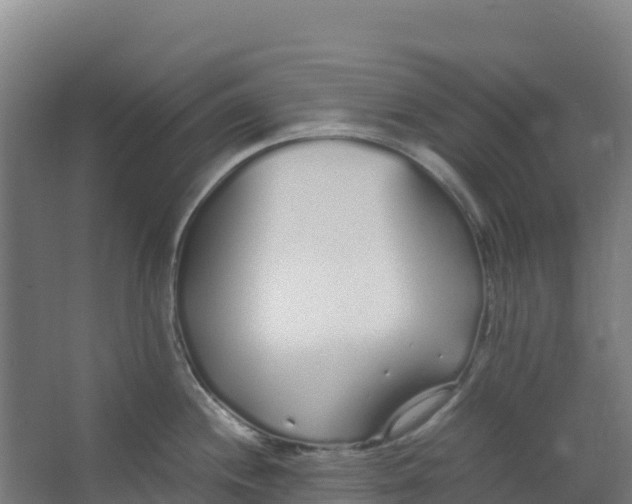 X0000067001244200604142251