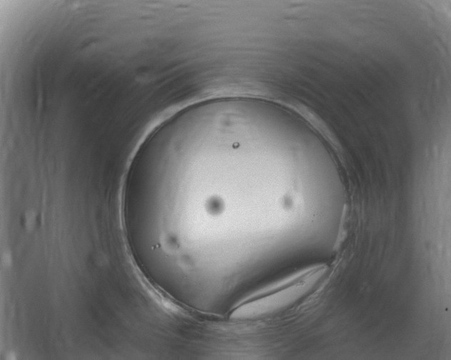 X0000067001246200604142251