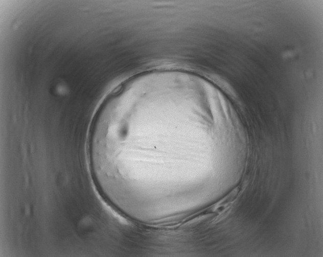 X0000067001247200604142251