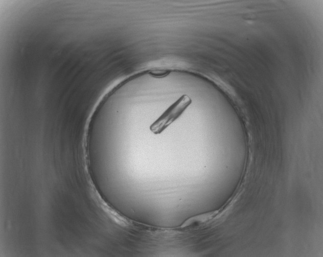 X0000067001248200604142251