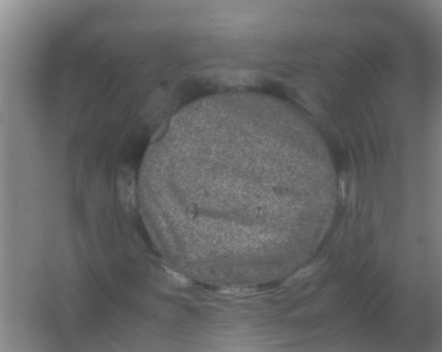 X0000067001251200604142250