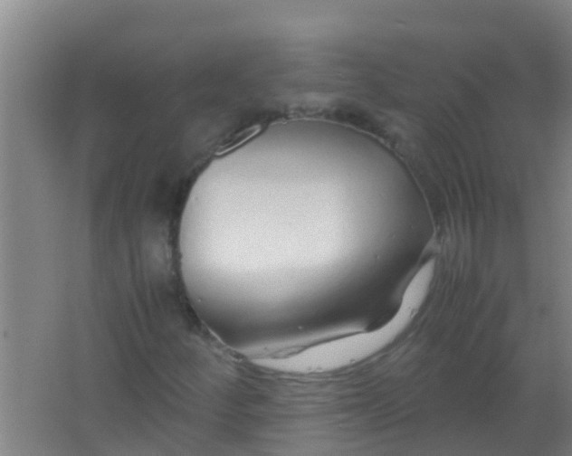 X0000067001252200604142250