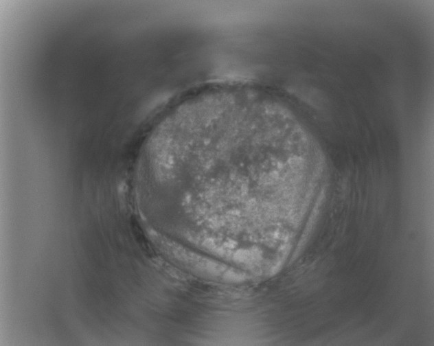 X0000067001254200604142250