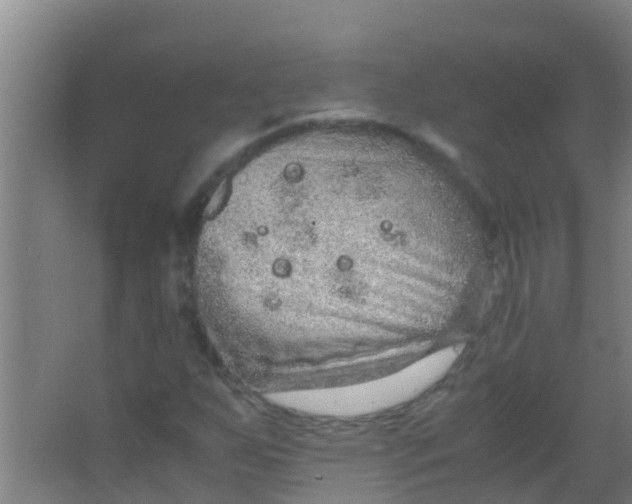 X0000067001255200604142250