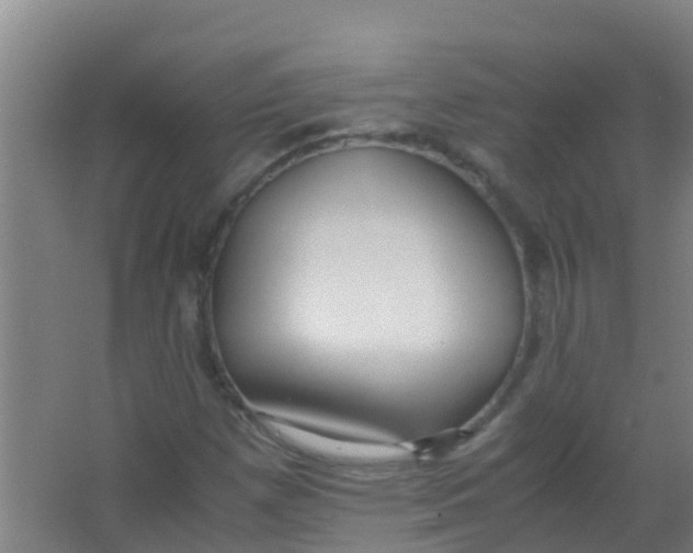 X0000067001257200604142250