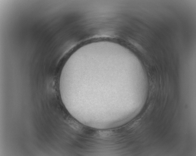 X0000067001258200604142250