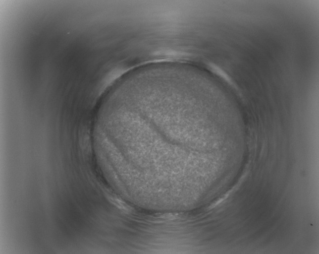 X0000067001259200604142250