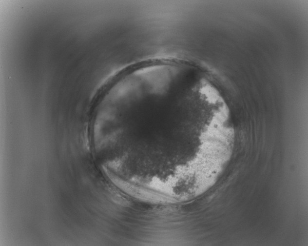 X0000067001262200604142250