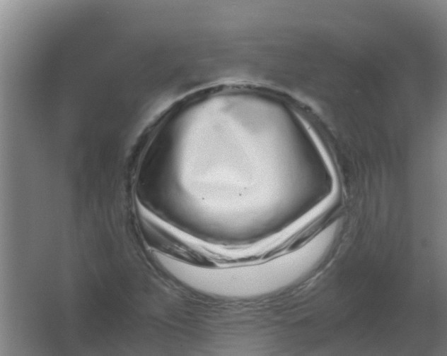 X0000067001263200604142250