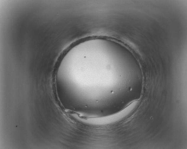 X0000067001264200604142250