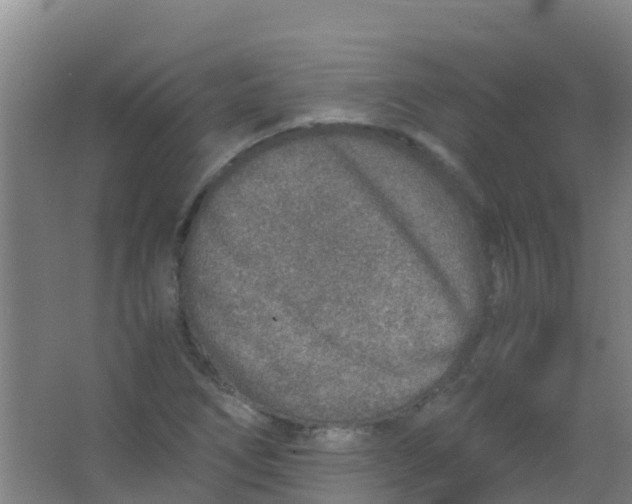 X0000067001266200604142250