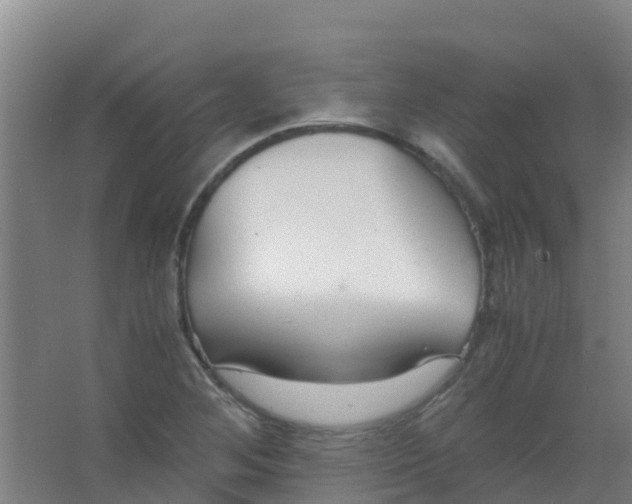 X0000067001268200604142250