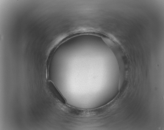 X0000067001269200604142250