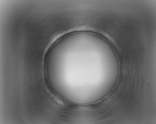 X0000067001270200604142249