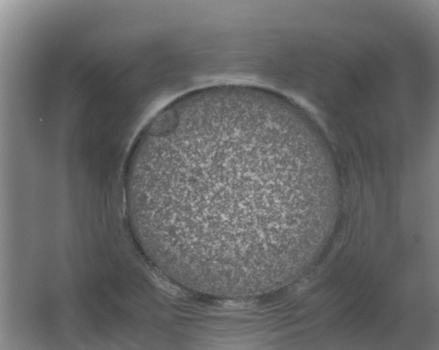 X0000067001271200604142249