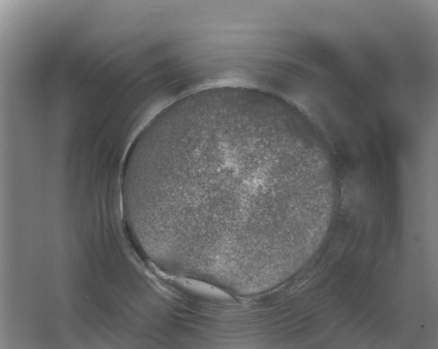 X0000067001274200604142249