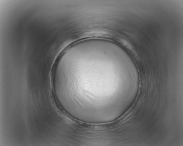 X0000067001275200604142249