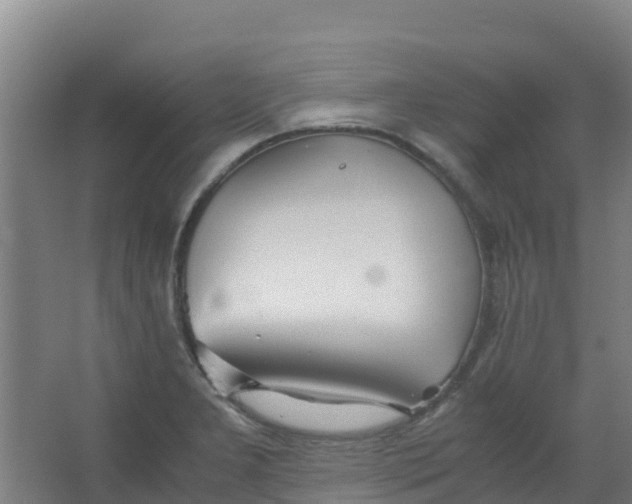 X0000067001277200604142249