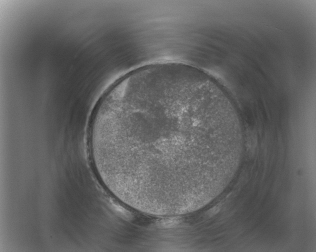 X0000067001278200604142249