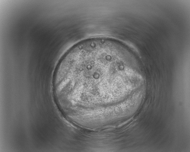 X0000067001279200604142249