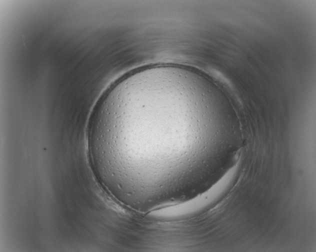 X0000067001280200604142249