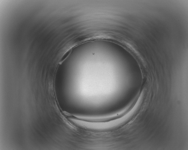 X0000067001281200604142249