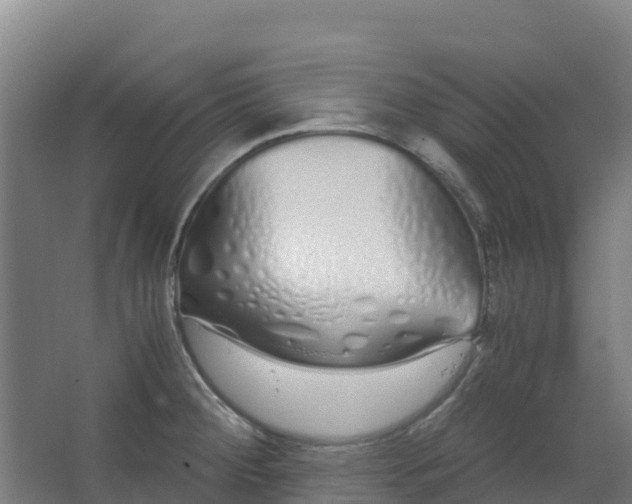 X0000067001284200604142249