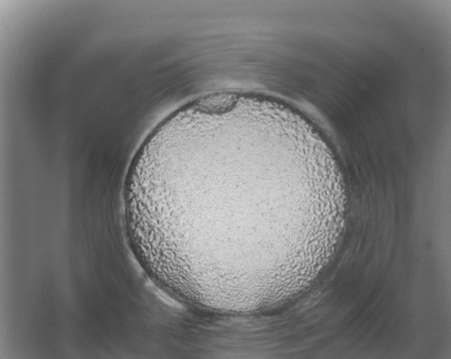 X0000067001287200604142249