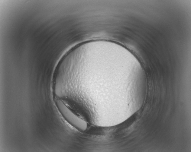 X0000067001288200604142249