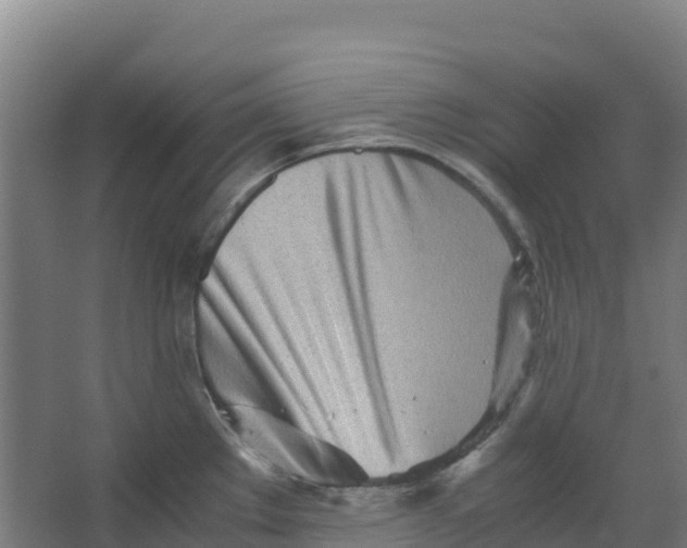 X0000067001289200604142249