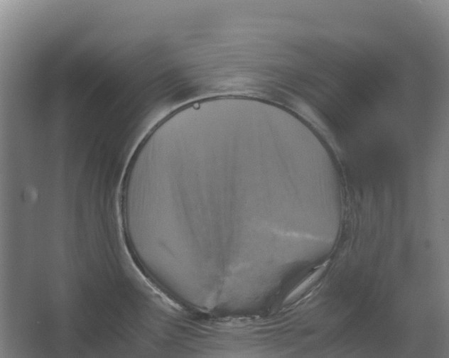 X0000067001291200604142249