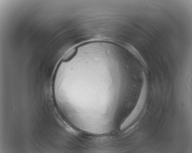 X0000067001292200604142249